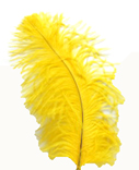 Straussenfeder 30cm gelb